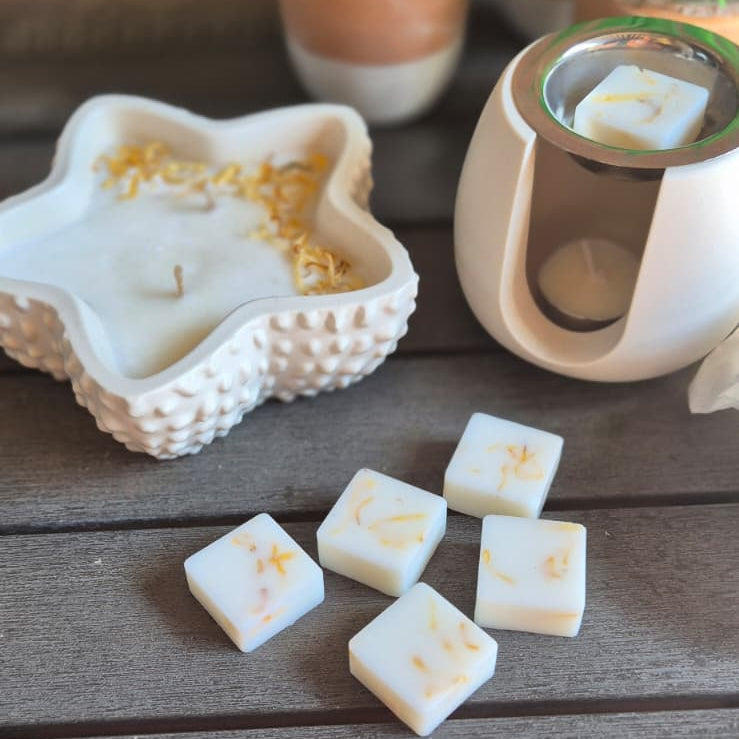 Wax Melts Coconut Isle