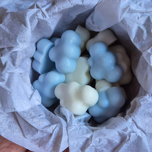 Wax Melts Lavanda y Camomila