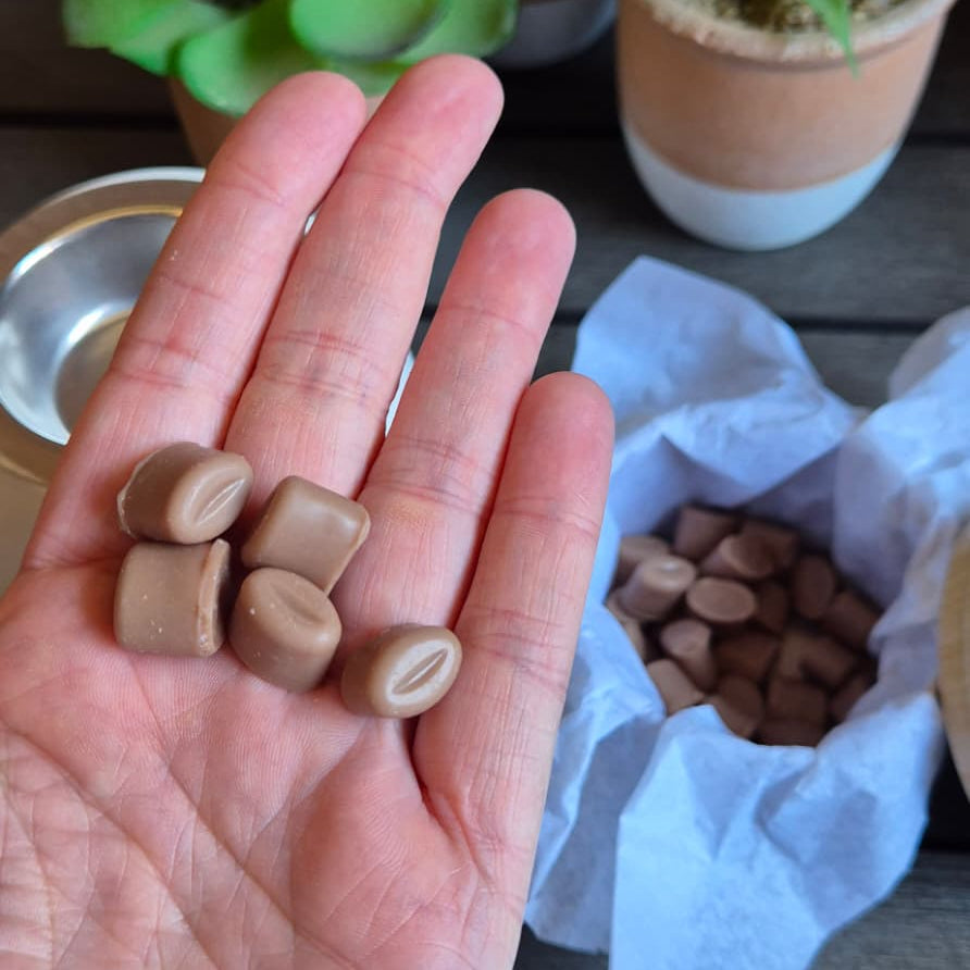 Wax Melts de café