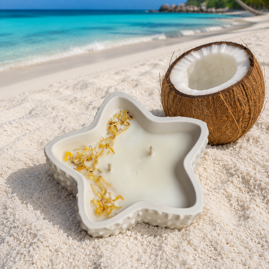 Coconut Paradise