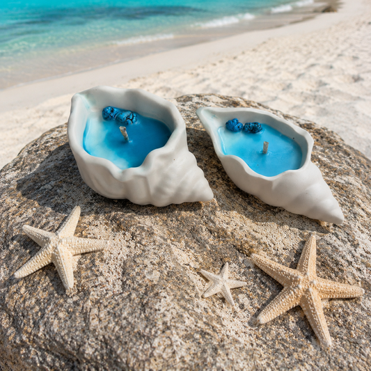 Pack Summer Shells
