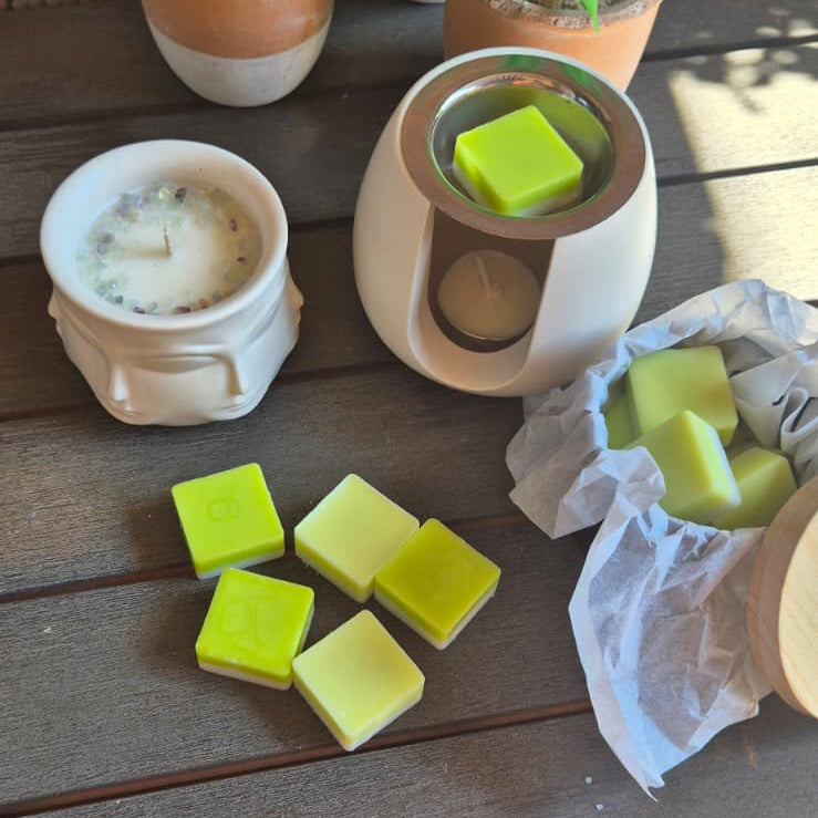 Wax melts Bambu y Te Verde bicolor blanco y verde de cera de soja